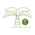 Hadith und dessen Wissenschaften